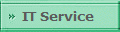 IT Service